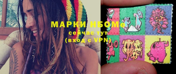 амф Богородицк