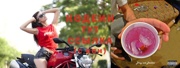 амф Богородицк